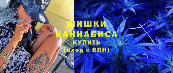 прущие грибы Армянск