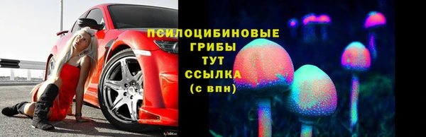 прущие грибы Армянск