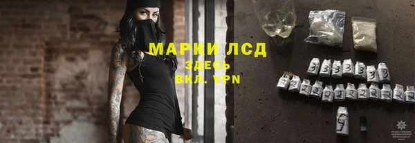 прущие грибы Армянск