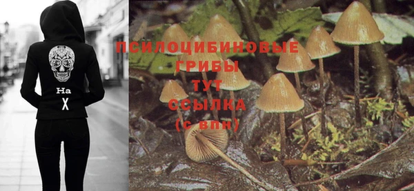 а пвп мука Аркадак